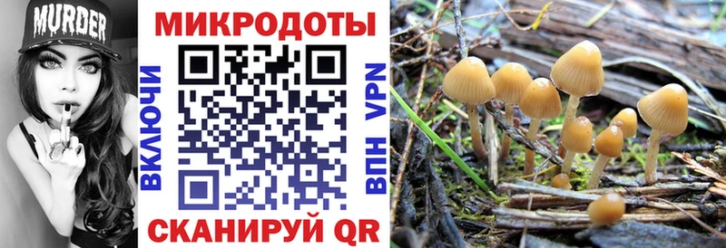 ОМГ ОМГ ССЫЛКА  Кулебаки  Галлюциногенные грибы ЛСД  купить закладку 